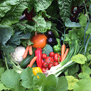 Kombinations- spezialitäten